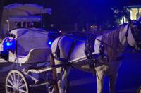 Merida - Kutschfahrt