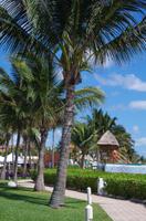 Ocean Coral & Turquesa - Puerto Morelos