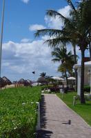Ocean Coral & Turquesa - Puerto Morelos