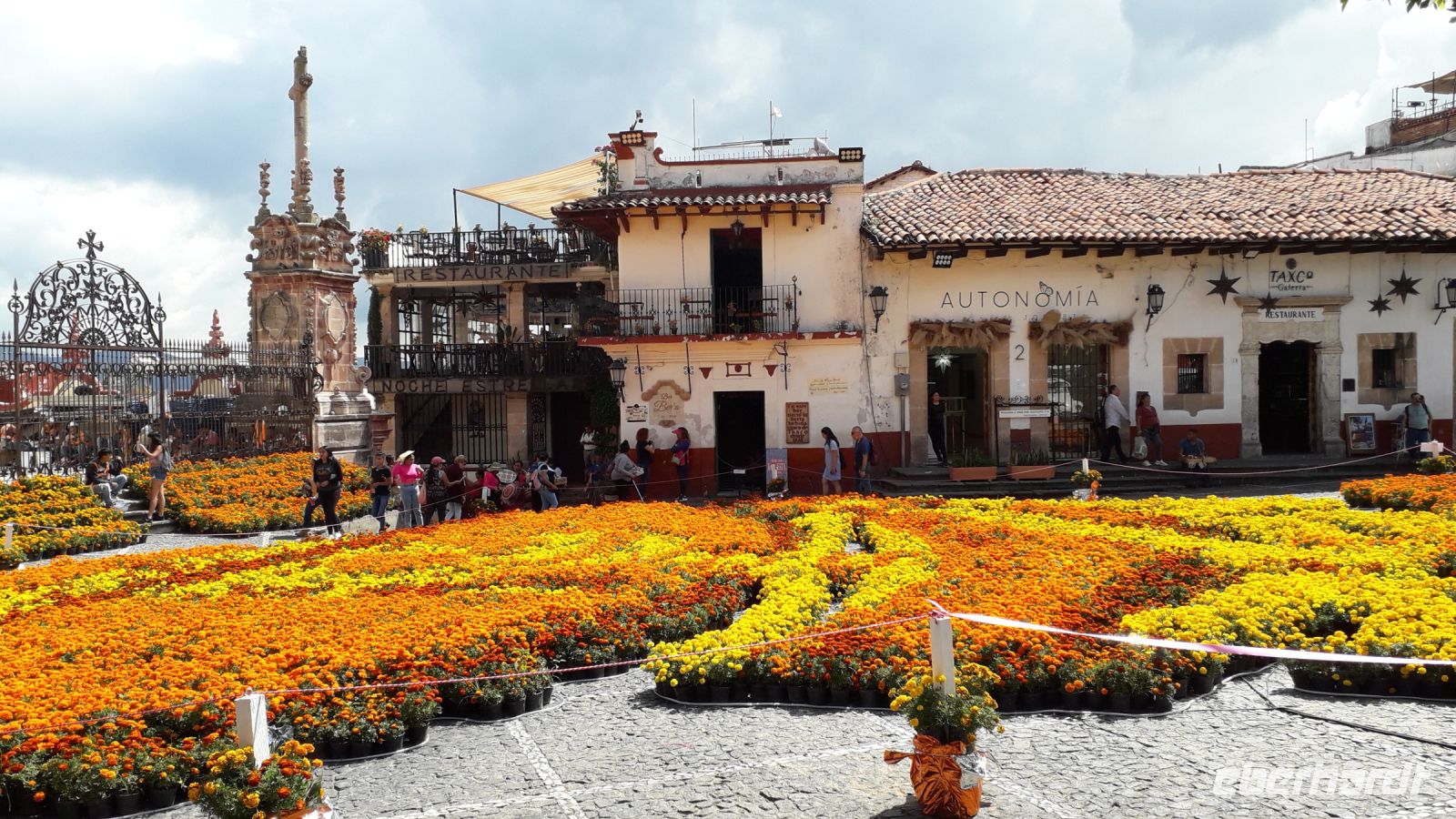 Blumenteppich vor der Kathedrale