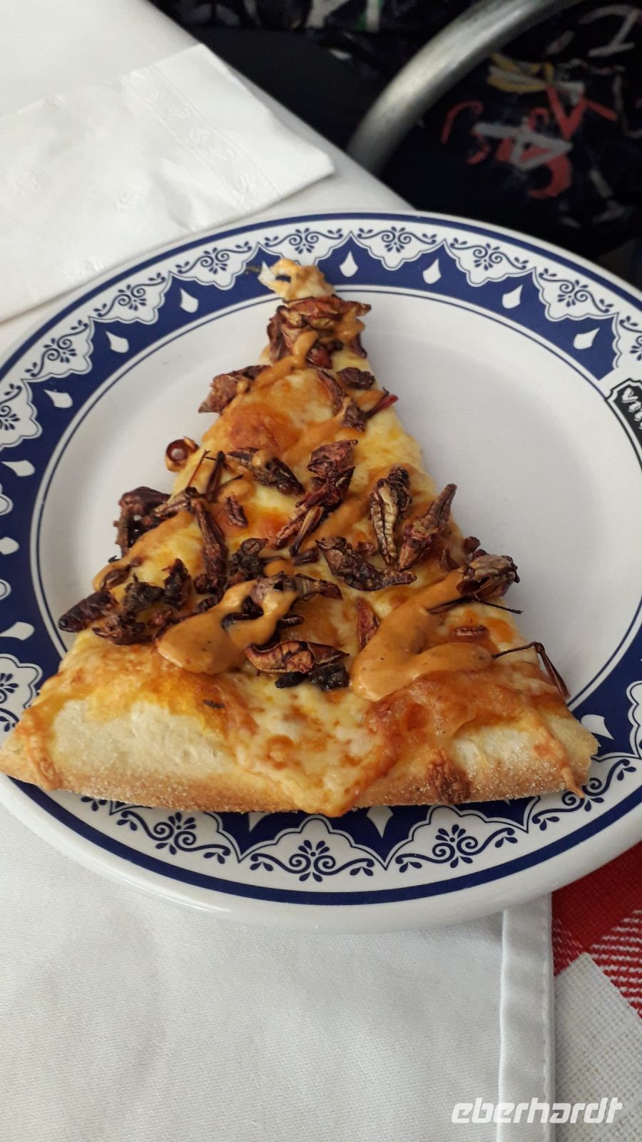 Pizza mit Heuschrecken