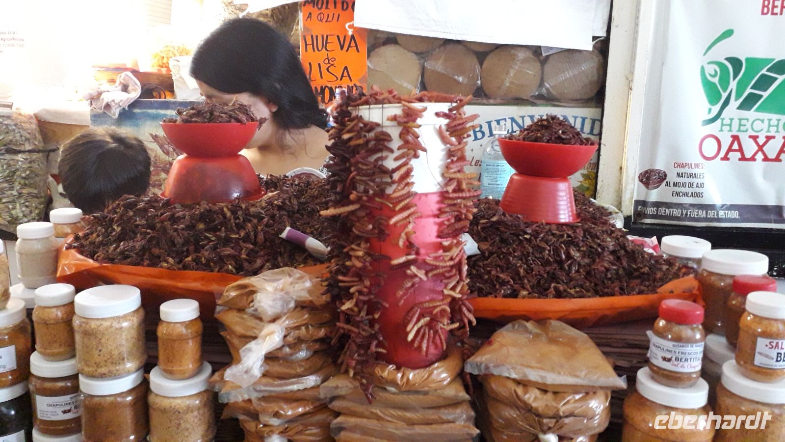 Maden und Heuschrecken dürfen auch nicht fehlen