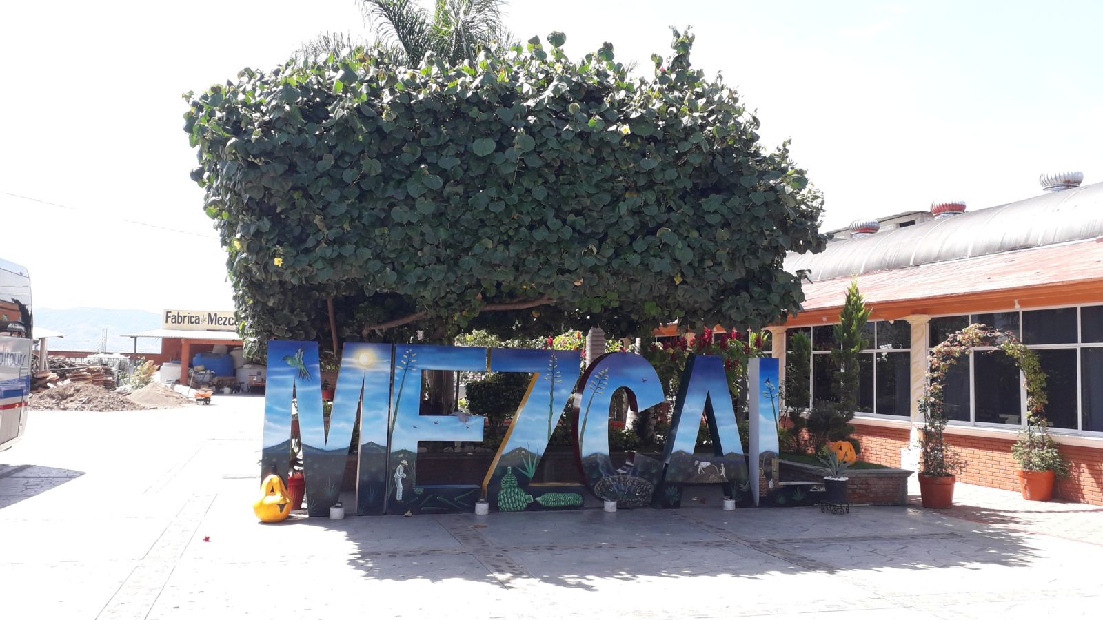 Hier probieren wir den Mezcal