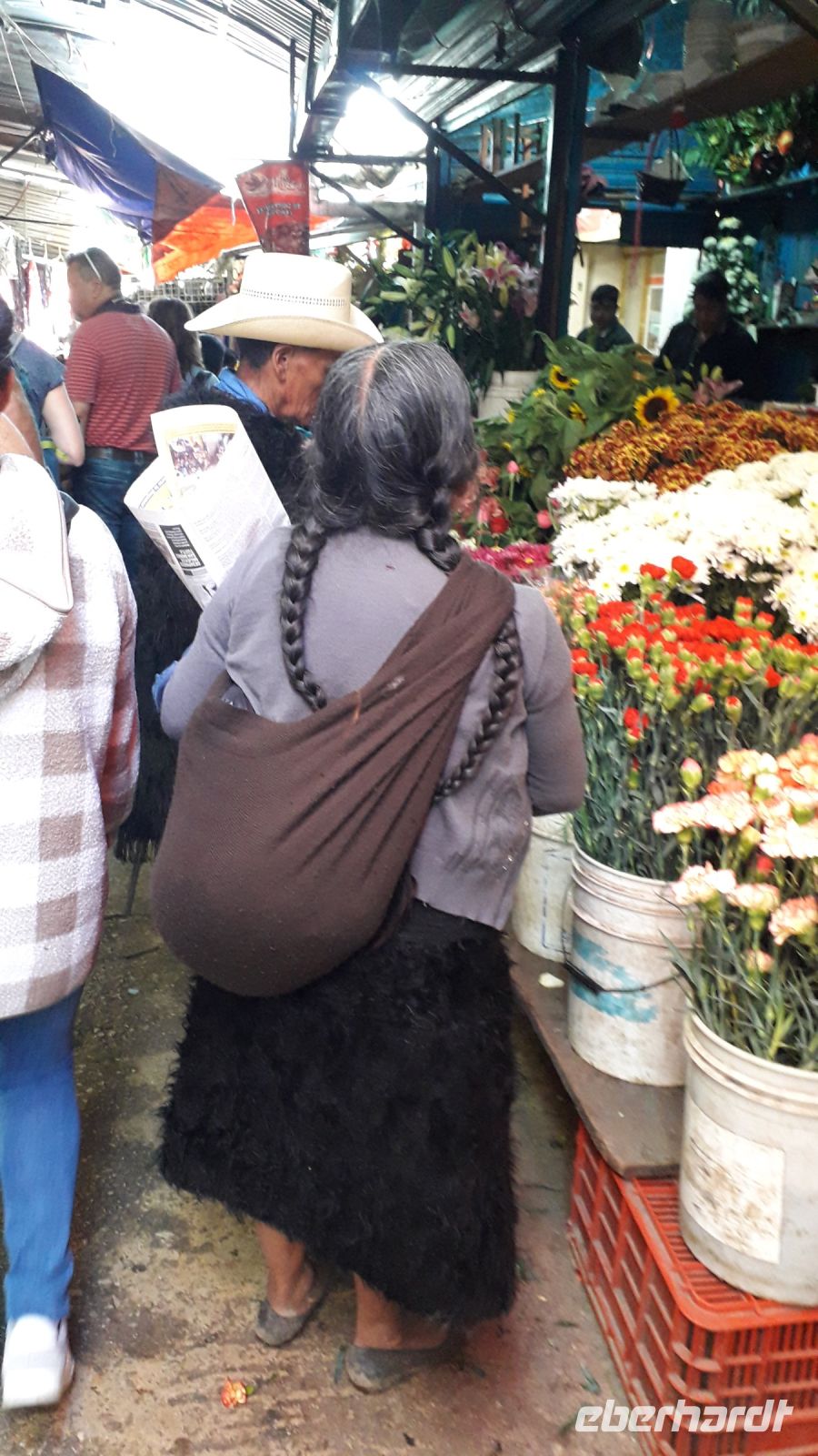 Der Mark / San Cristobal