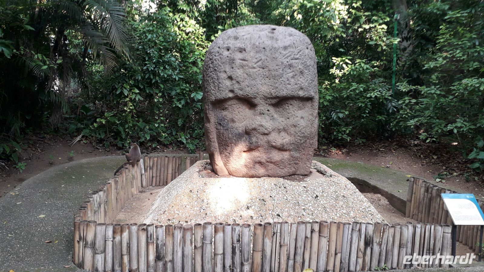 Ein riesiger Kolossalkopf der Olmeken