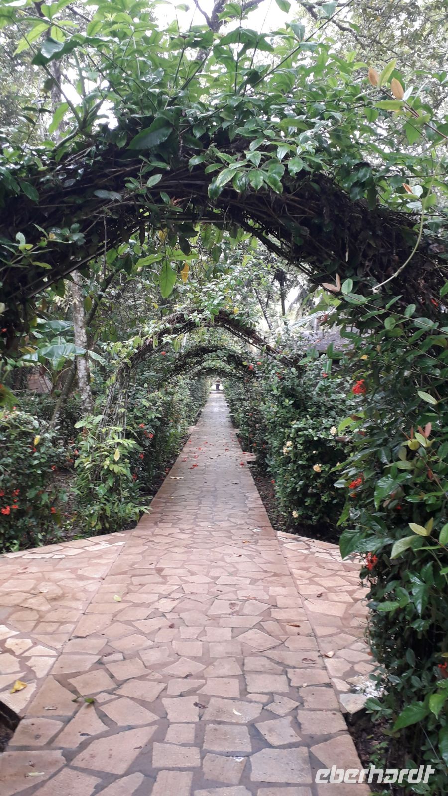 Der Weg zu den Bungalows im Hotel