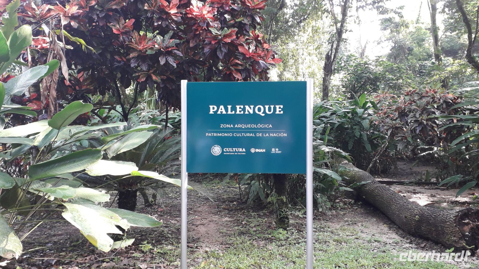 Am Eingang in Palenque