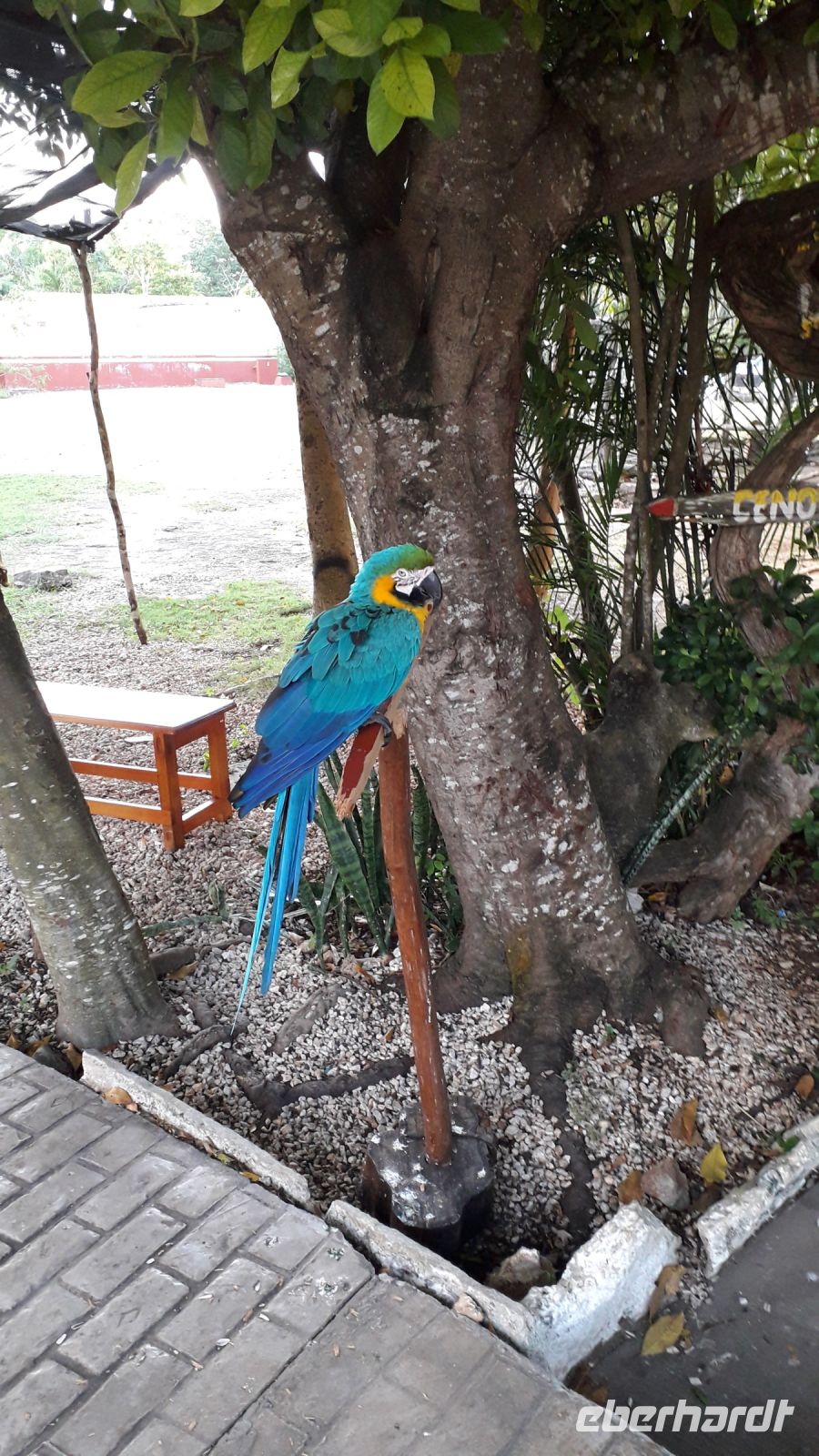 Am Eingang zu den Cenoten