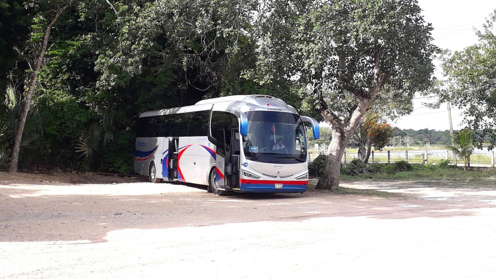 Unser Busfahrer Martin sitzt im Bus