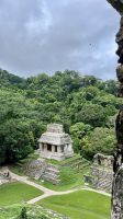 Palenqué, Palenque, Chiapas, Mexico