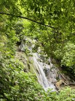 Palenqué, Palenque, Chiapas, Mexico