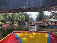 Schwimmende Gärten von Xochimilco, Mexico-City