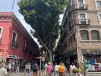 Fußgängerzone, Puebla