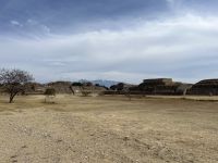 Monte Albán, Oaxaca