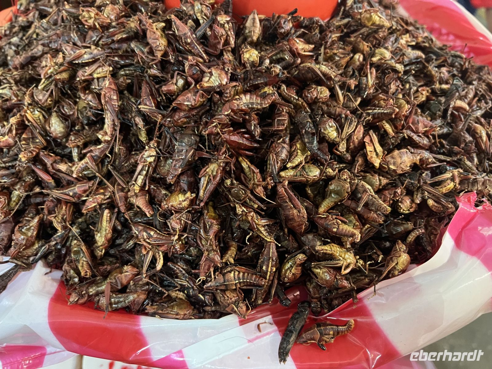 gebratene Heuschrecken, Oaxaca