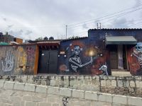 Graffiti Kunst, Oaxaca