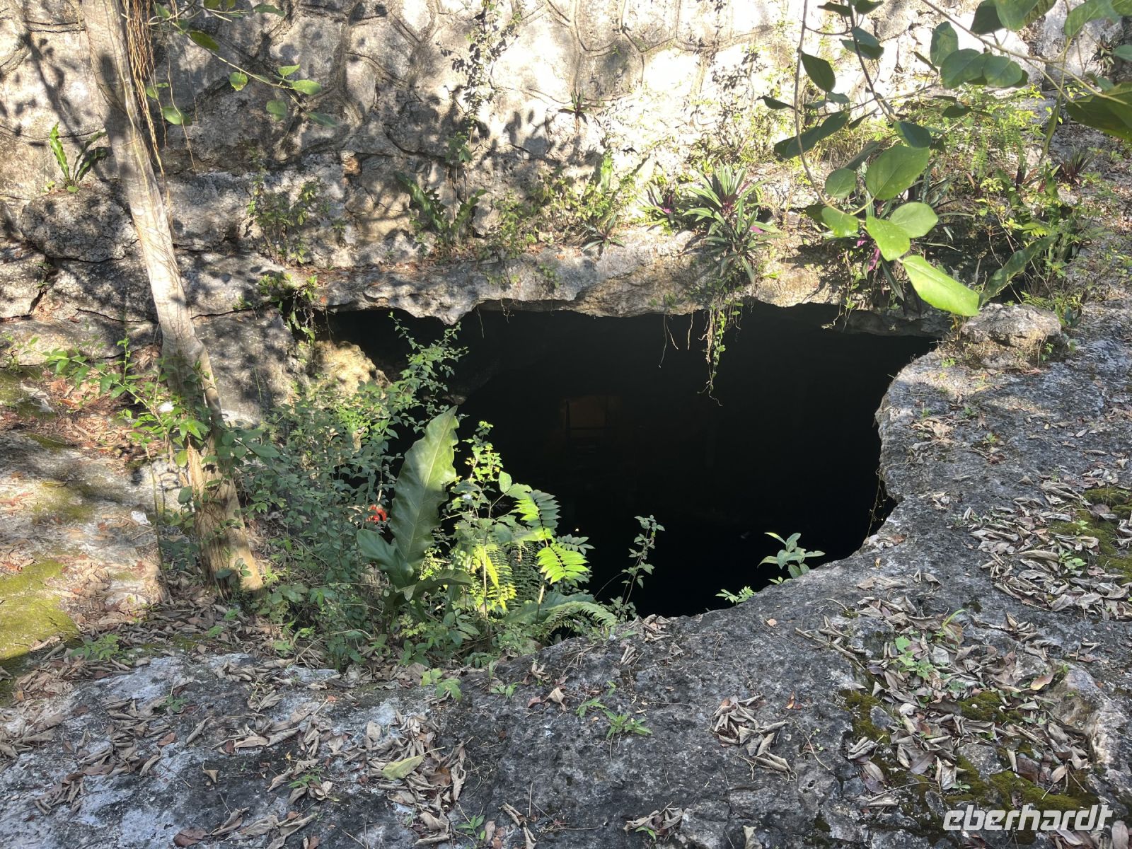 Cenoten von X´keken, Valladolid