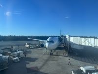 Rückflug nach Deutschland