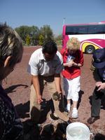 kleine Edelsteinkunde