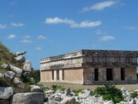 Uxmal - Leguan genießt die Aussicht auf das Schildkrötenhaus