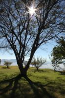 065 mit zahlreichen Sonnenstrahlen