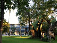 099 Hotel Calli in Oaxaca de Juárez