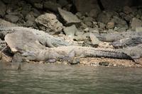 102 ...und nicht nur die...