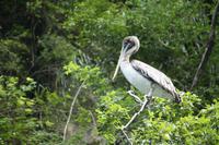 103 auch von oben wird man beobachtet
