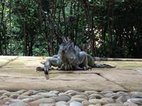 140 im Hotel Ciudad Real gibt es nette Bewohner