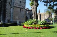 Basilika – Cuernavaca