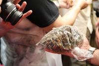 Lebendtier auf dem Markt – Taxco