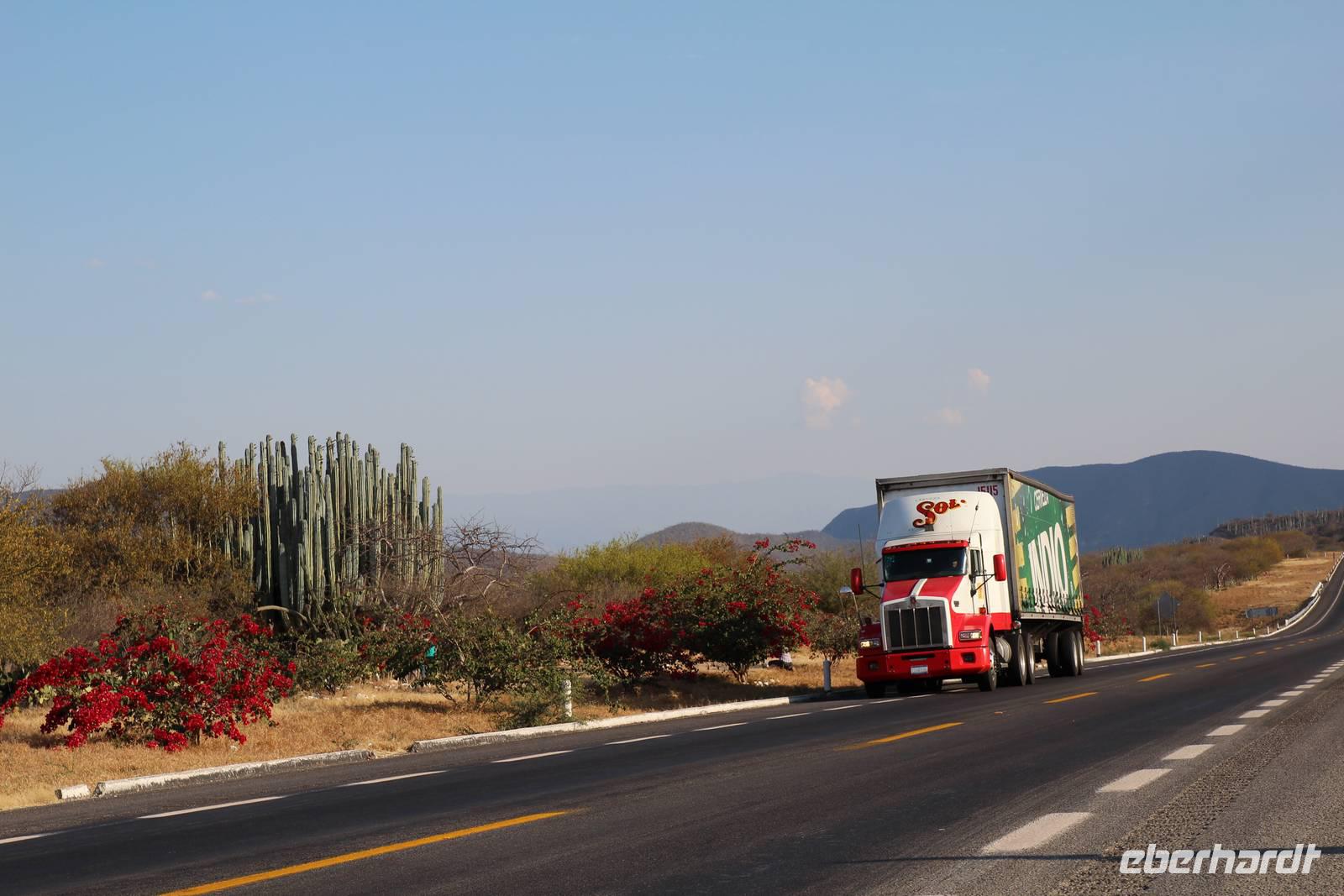 Kakteenpark auf der Fahrt nach Oaxaca