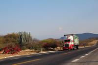 Kakteenpark auf der Fahrt nach Oaxaca