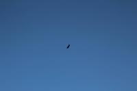 Ausblicke auf der Fahrt nach Oaxaca