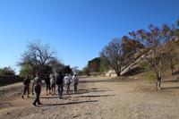 Ausgrabungsstätte Monte Alban – Oaxaca