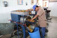 Zutaten für die Mole – Schokoladenmanufaktur – Oaxaca