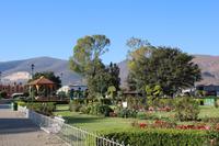 Santa María del Tule