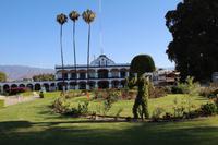 Santa María del Tule