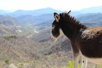 Fahrt nach Tehuantepec