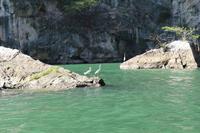 Bootsfahrt durch den Sumidero Canyon