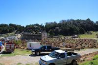 Friedhof – San Juan Chamula