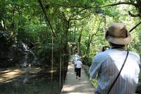 Dschungelweg – Palenque