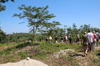 Kautschukplantage – Palenque