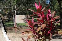 Ausgrabungsstätte Uxmal