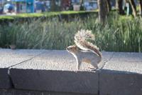 Mexico City – Vor dem Anthropologisches Nationalmuseum
