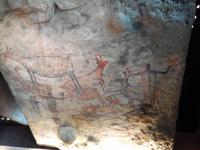 Im Antropologogischen Museum