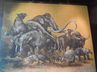 Im Antropologogischen Museum