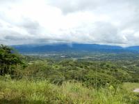 Blick auf den Regenwald