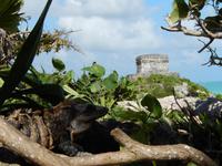 Da schaut er zum WIndgott-Tempel