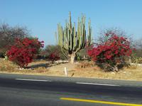 Mexiko Rundreise - Kolonialstädte. Mayakultur, Karibik